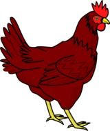 Red farm animal