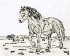 Horses on meadow, Pencil Drawing