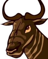 Gnu, Head of animal, drawing