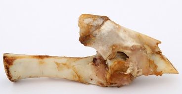 beef bone