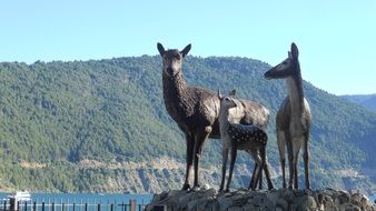 deer statues by the lake in Argentina