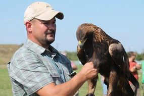 bird of prey in hands of men