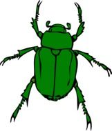 painted green beetle