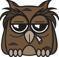 funny owl from cartoon