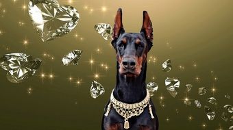 doberman among diamonds as digital art