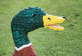 Mallard Drake, Lego blocks construction outdoor