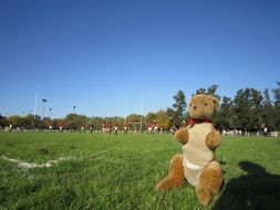 Kangaroo toy in Australia