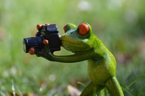 funny frog with camera