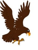 brown eagle drawing
