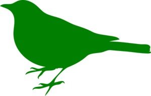 painted green sparrow