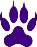 tiger paw print drawing