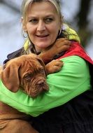 portrait of the french mastiff puppy in owners hands