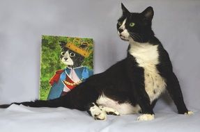Cat Cute Black