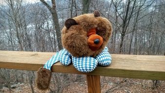 cartoon Lion, soft Toy on wooden fence outdoor