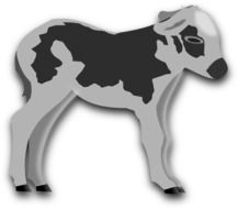 gray-black painted calf