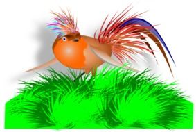 painted bird on the lawn