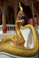 dragon statue in the temple