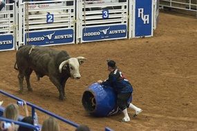 Rodeo Cowboys Bull