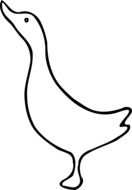 conceptual image of a domestic duck