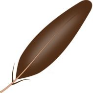 painted brown feather