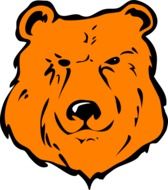 Orange Bear Head, illustration