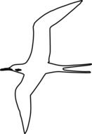 Swallow Martin Flying outline vector