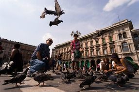 Milan Birds