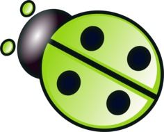 painted green ladybug