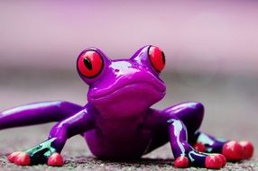 bright purple frog