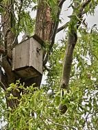 bird house high on a tree