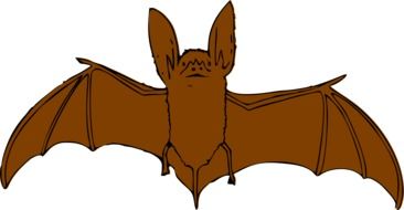 Bat Brown drawing