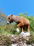 Photo of Cute Shetland Pony