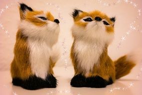 two colorful and cute fox fuchs