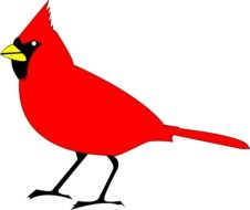 painted bird cardinal
