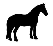 Illustration of Horse's silhouette
