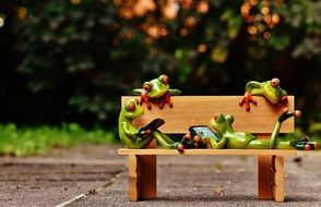 frog on a wooden bench in the park