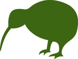 Drawing of the green silhouette of kiwi