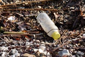 pollution of plastic bottles and trash on the beach