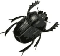 six-legged black beetle
