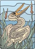 pelican in reeds as a watercolor