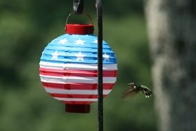 hummingbird and paper lantern with the image of the American flag close-up on blurred background