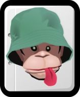 funny monkey in hat