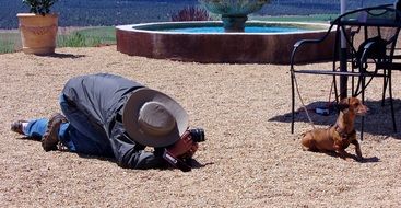 male photographer takes a dachshund
