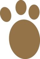 brown animal footprint