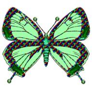 abstract green butterfly