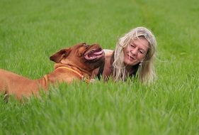 photo of bordeaux dog lying on the meadow with his owner