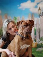 mastiff with his owner