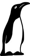 Cute and beautiful black and white emperor penguin as a graphic image