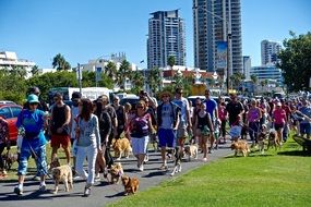 people at the dog parade