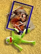 picture frame with kermit